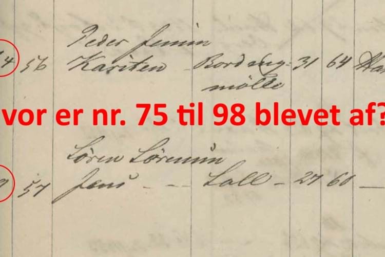 Lægdsruller: Værnepligtig ved Arbejdstropperne under krigen i 1864