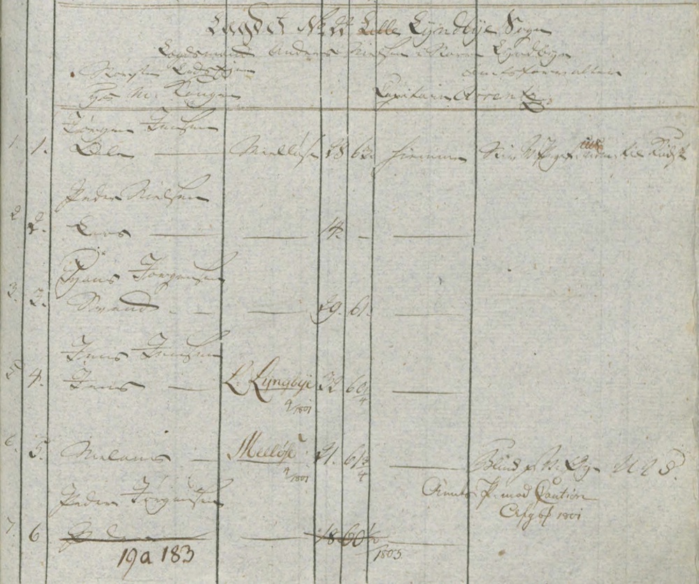 Udklip fra lægdsrullen for lægd 22 i Frederiksborg Amt i 1800 - det er en hovedrulle